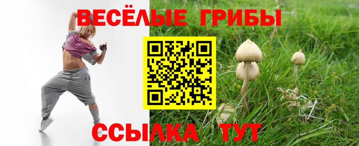 Псилоцибиновые грибы Cubensis Верхняя Пышма